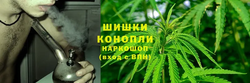 Каннабис SATIVA & INDICA  цена   Солигалич 